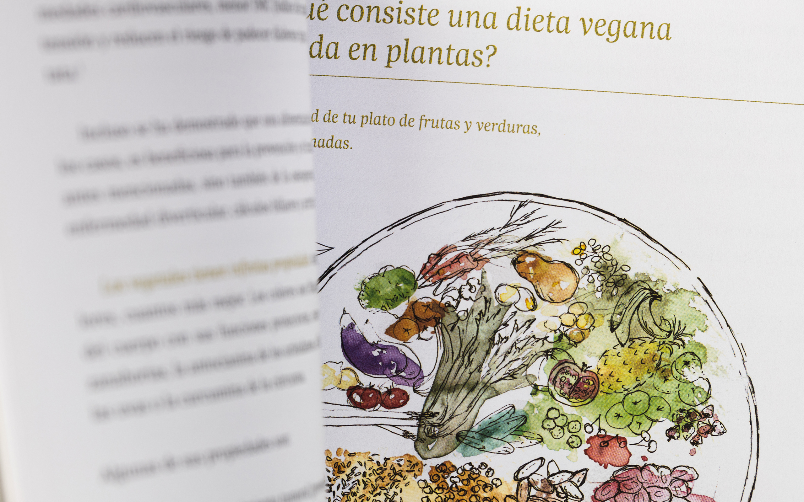 redoble studio gráfico — camino a un mundo vegano